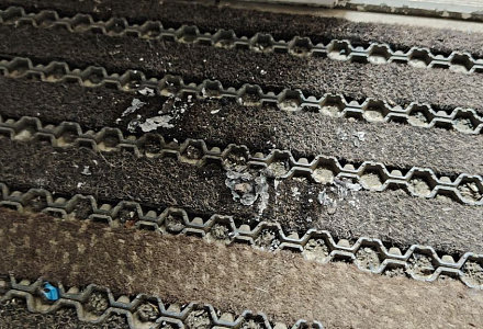 Задержаны по законам Российской Федерации